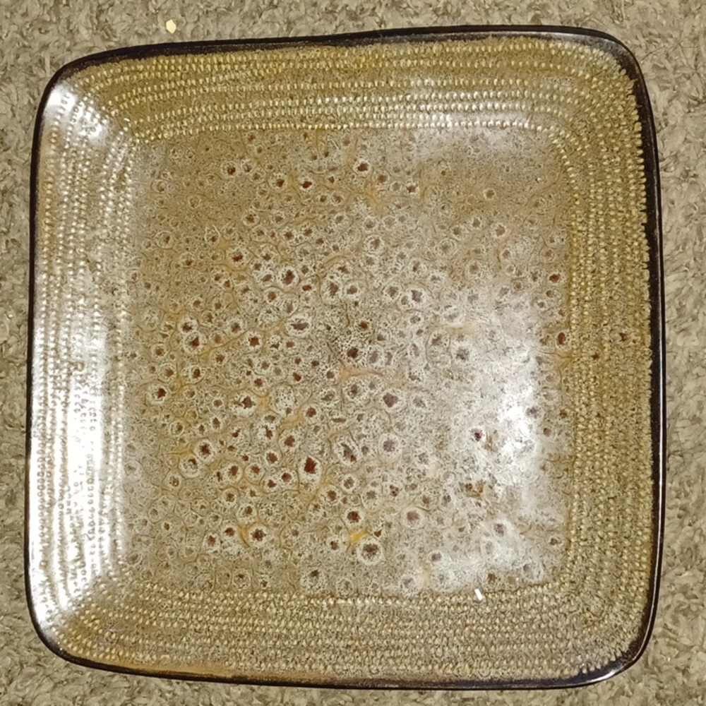 Single Dinner Plate